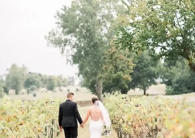Walking in Vineyard Away